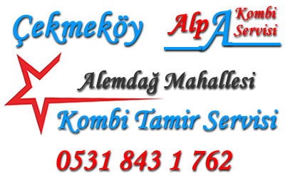 Alemdağ Mahallesi Kombi Tamiri