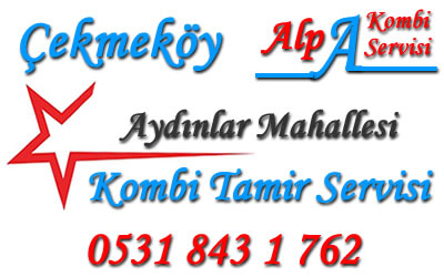 Aydınlar Mahallesi Kombi Tamiri