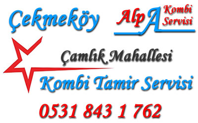Çamlık Mahallesi Kombi Tamiri