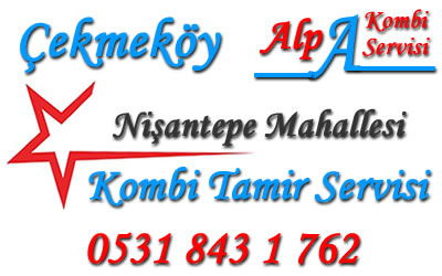 Nişantepe Mahallesi Kombi Tamiri