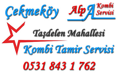 Taşdelen Mahallesi Kombi Tamiri