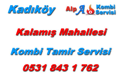 Kalamış Mahallesi Kombi Servisi