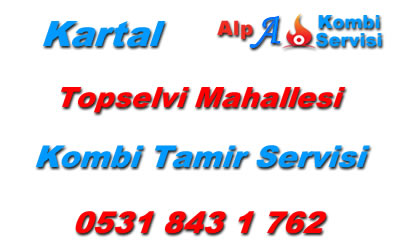 Topselvi Mahallesi Kombi Servisi